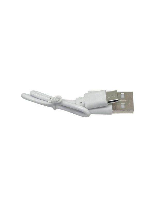 Rechargeable Fan